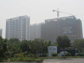 搶租南沙城好房 超低價機會，先到先得，可注冊公司