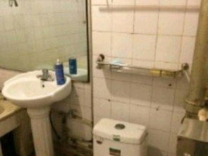 長治路電建二公司宿舍 緊鄰北美、48中的優(yōu)質(zhì)租房選擇